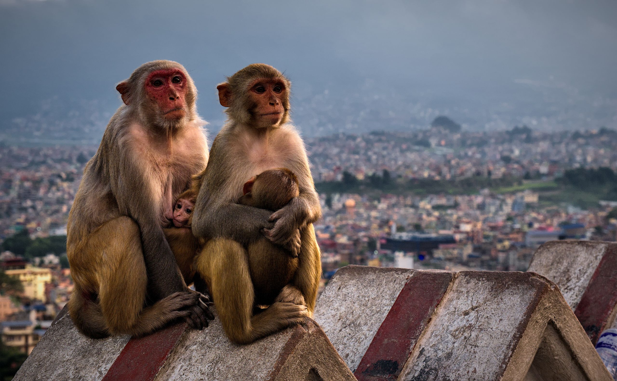 Swayambhunath