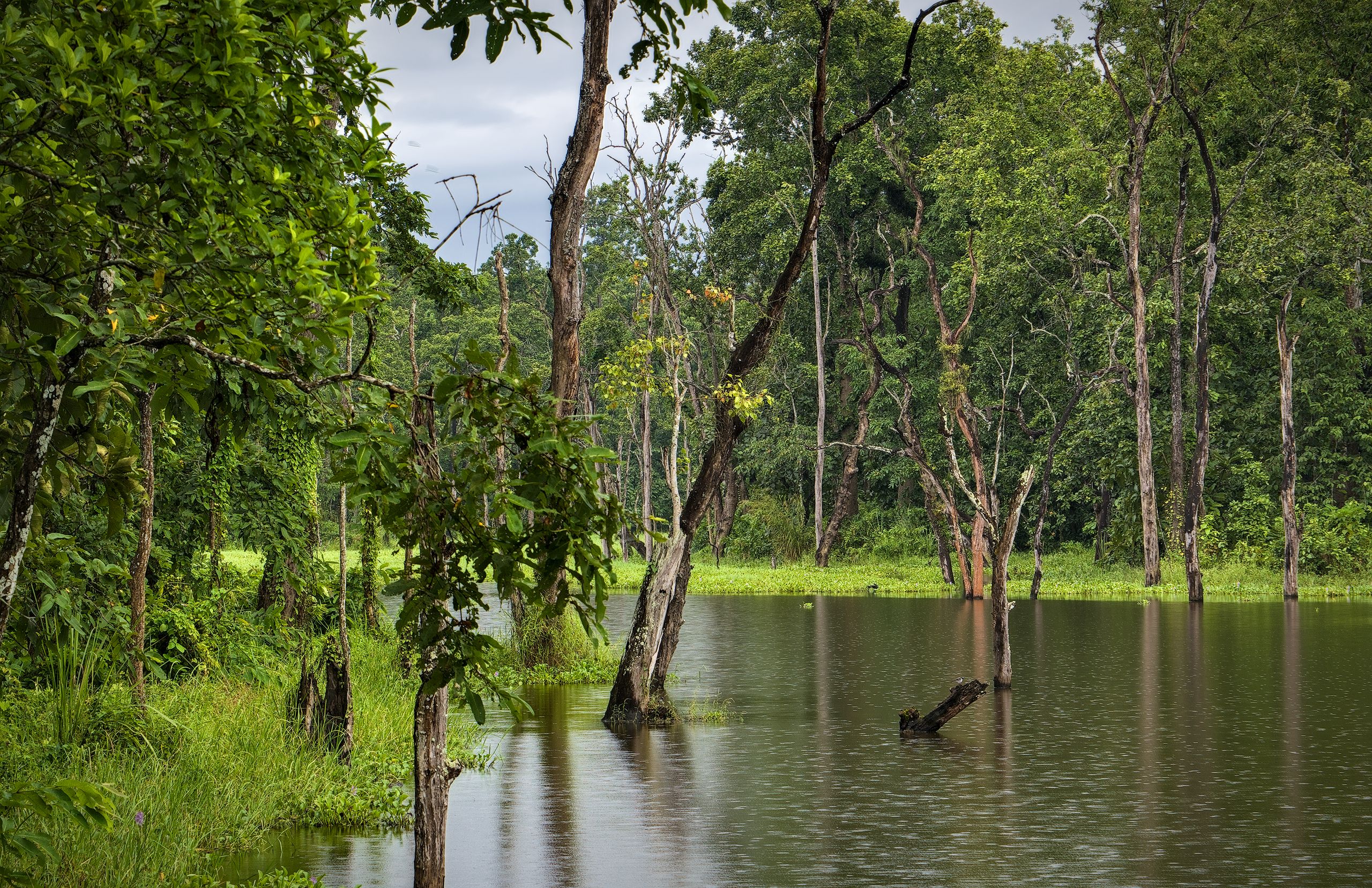 Chitwan National Park
