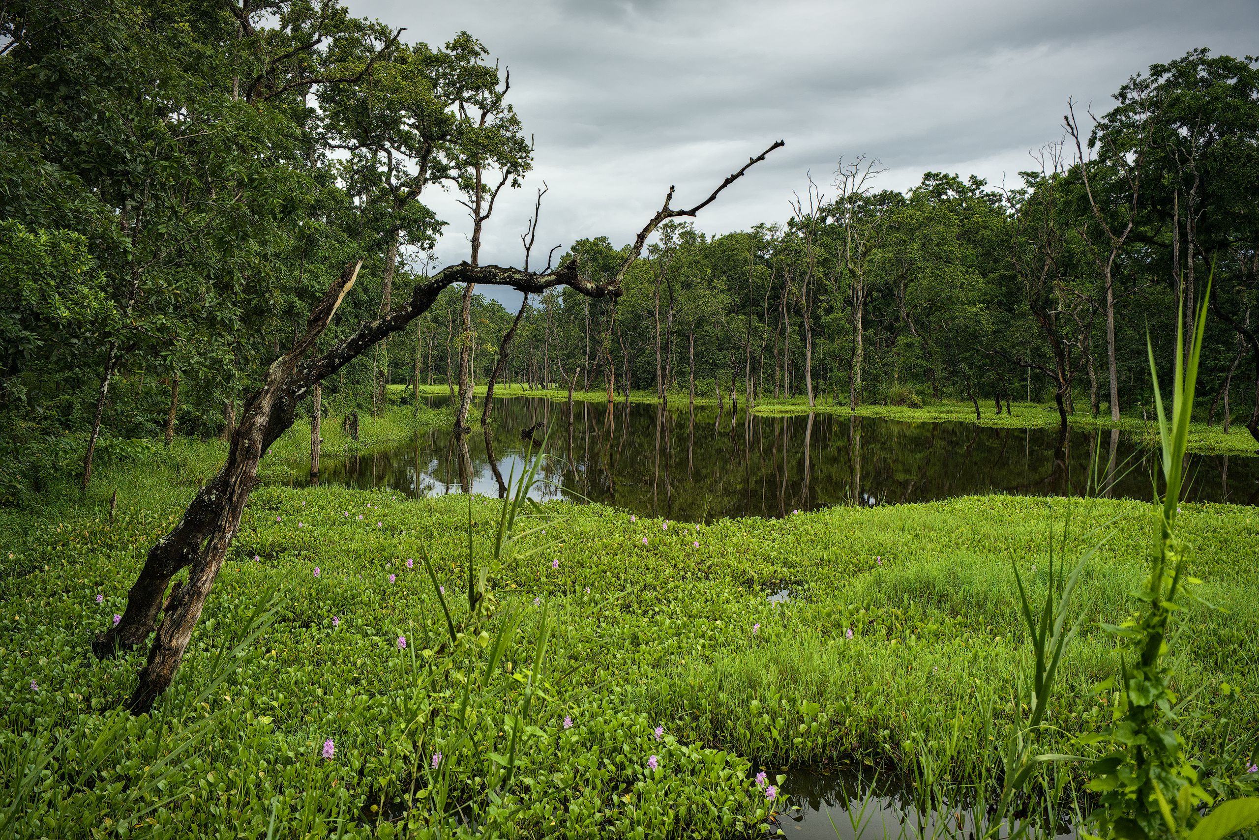 Chitwan National Park