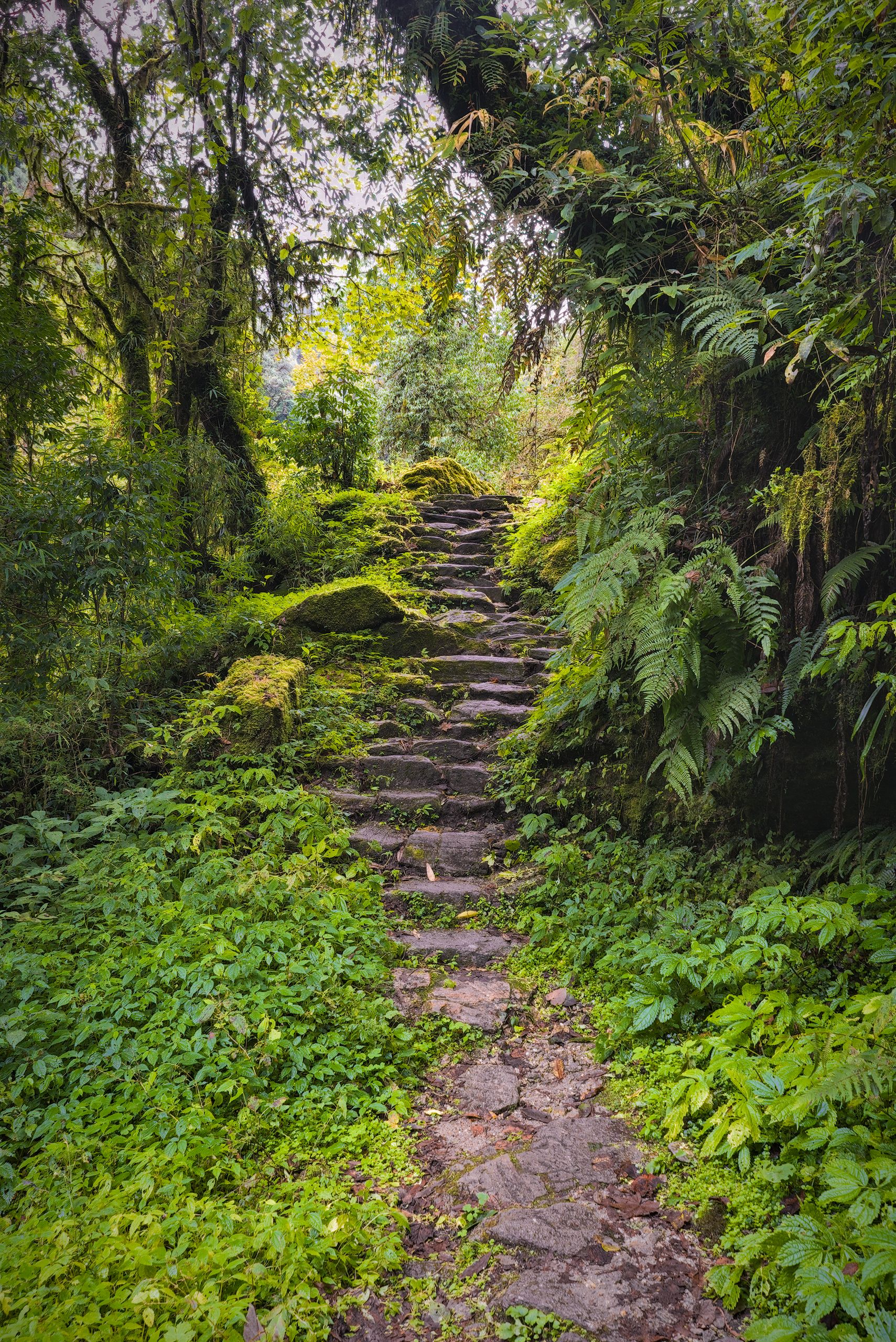 Annapurna Conservation Area