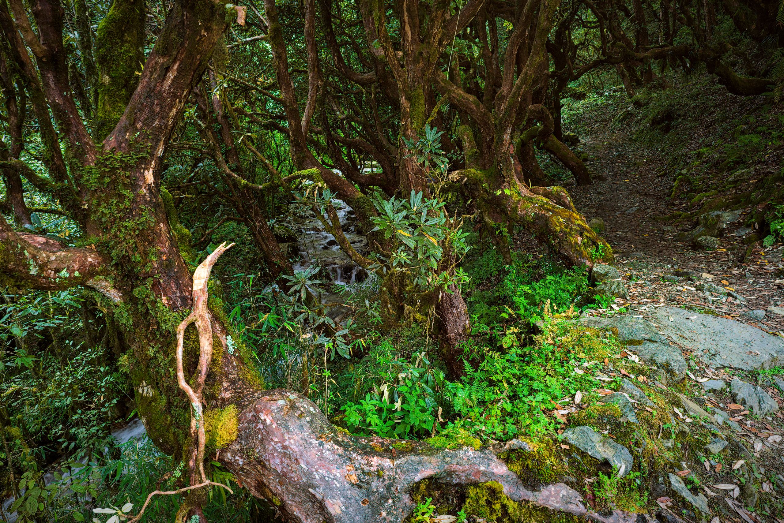 Annapurna Conservation Area