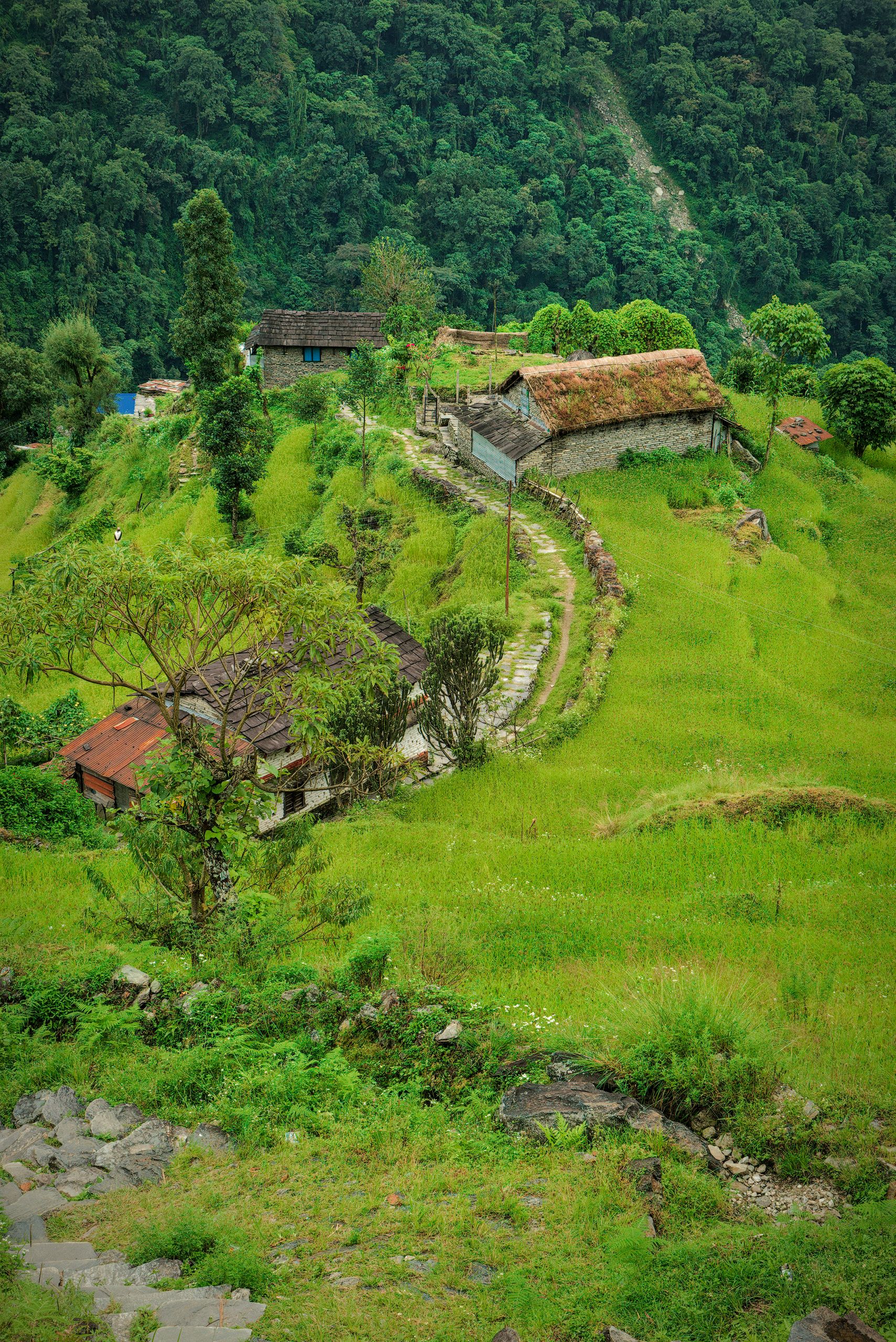Annapurna Conservation Area