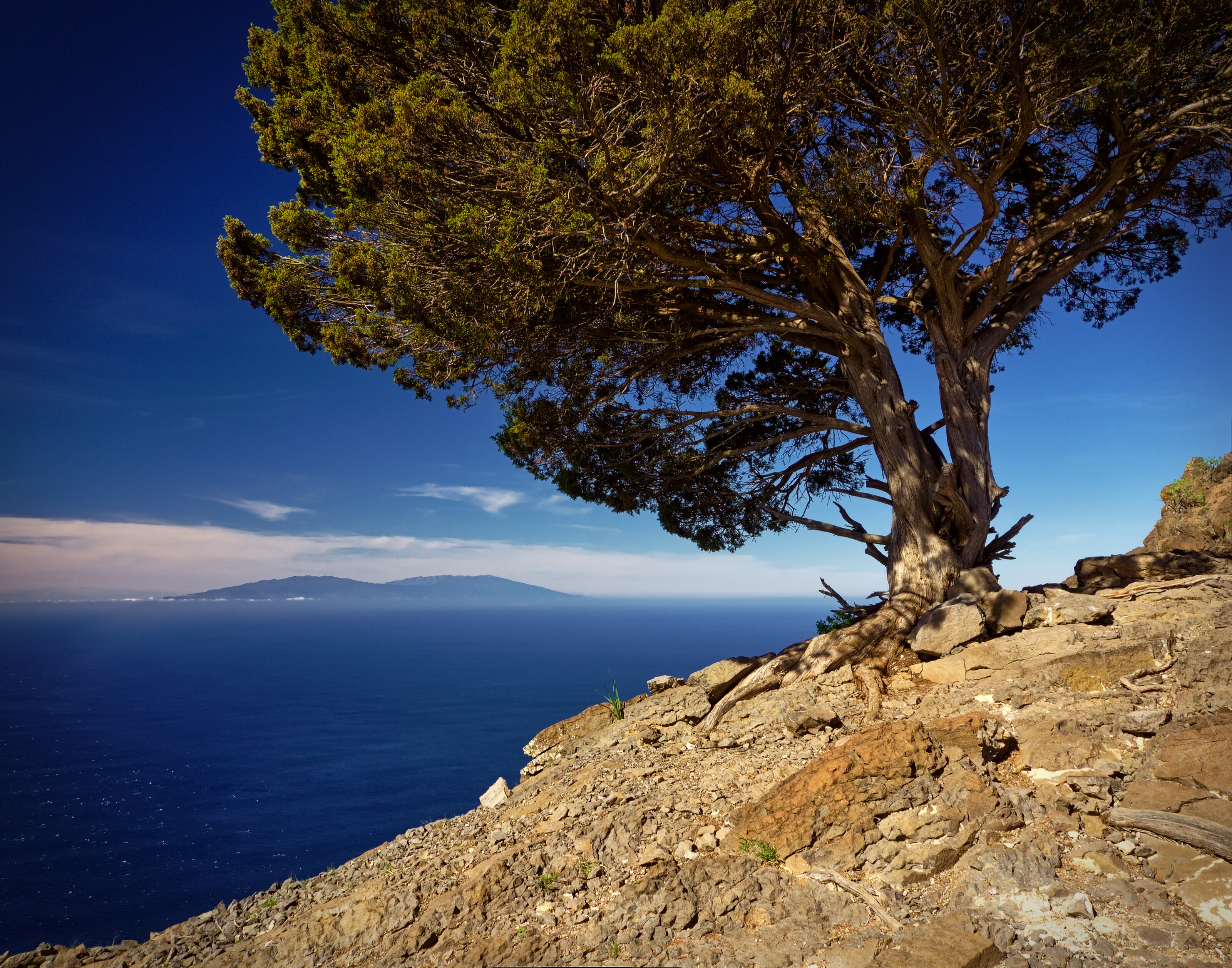 Sabina de La Mérica