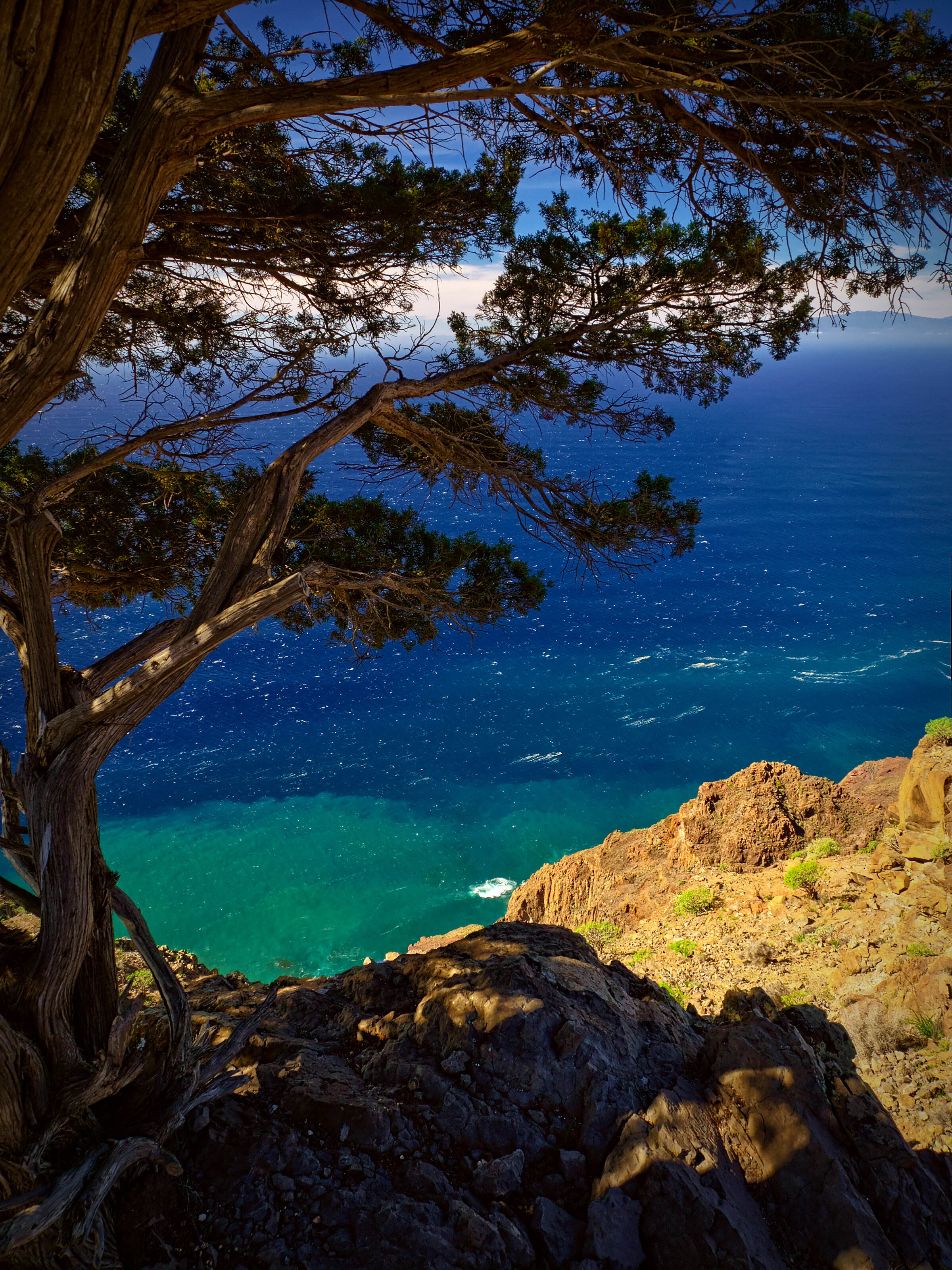 Sabina de La Mérica