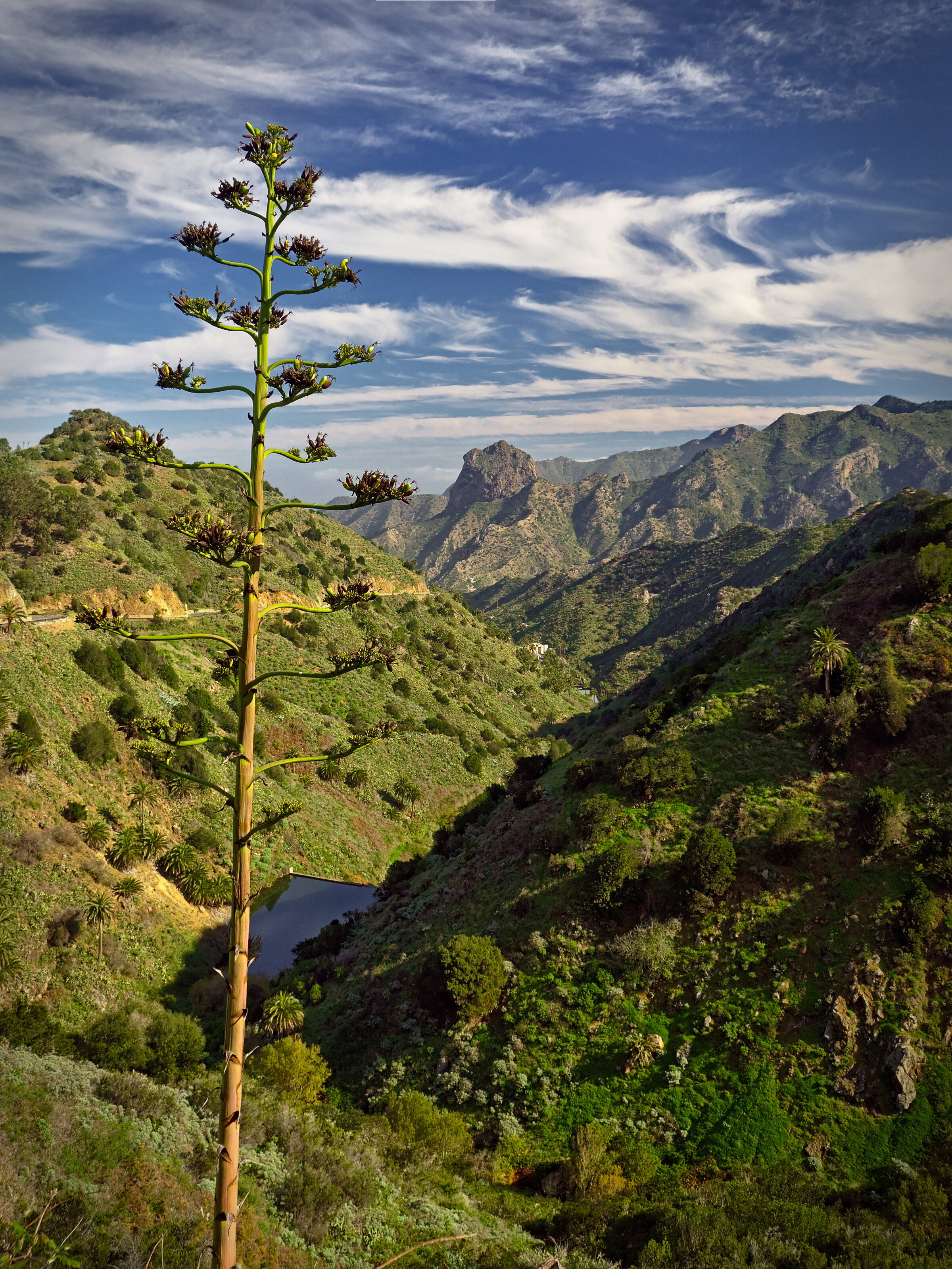 Towards Vallehermoso