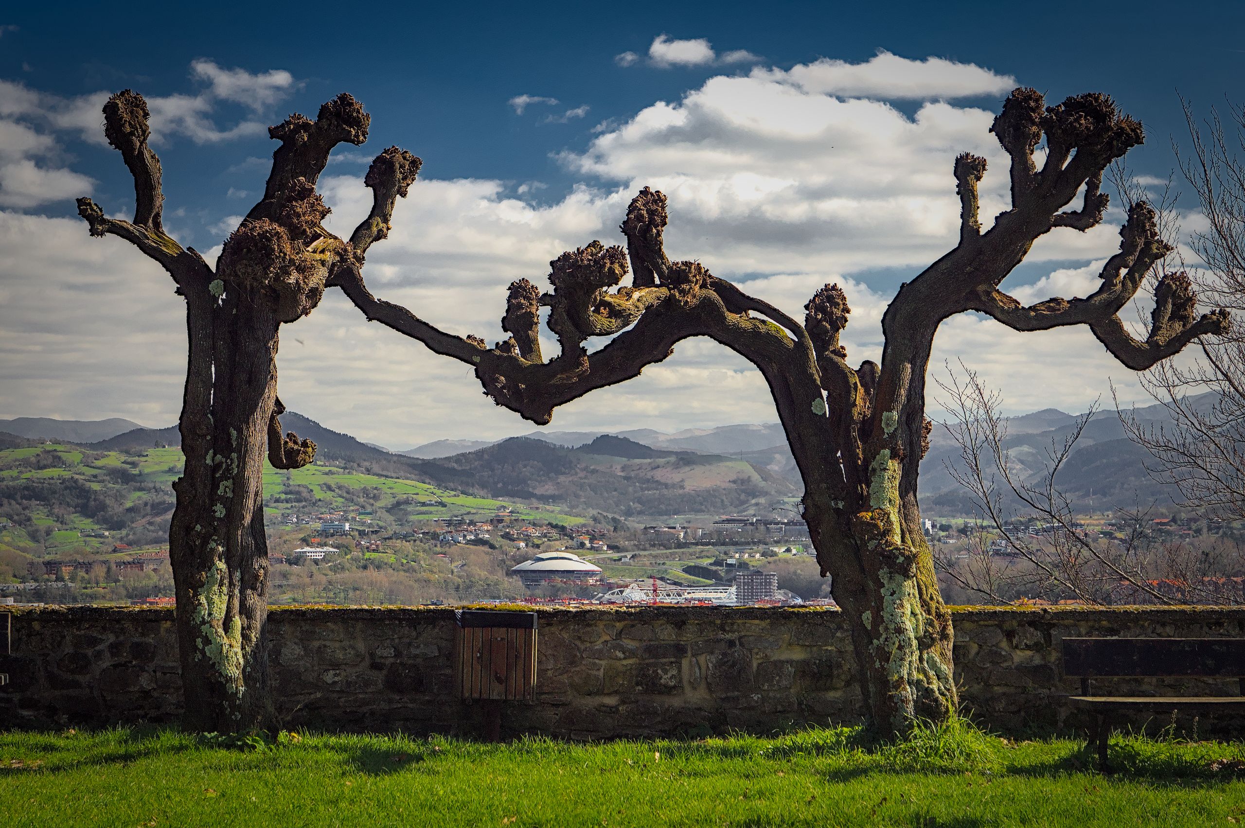 The Back Country of San Sebastián