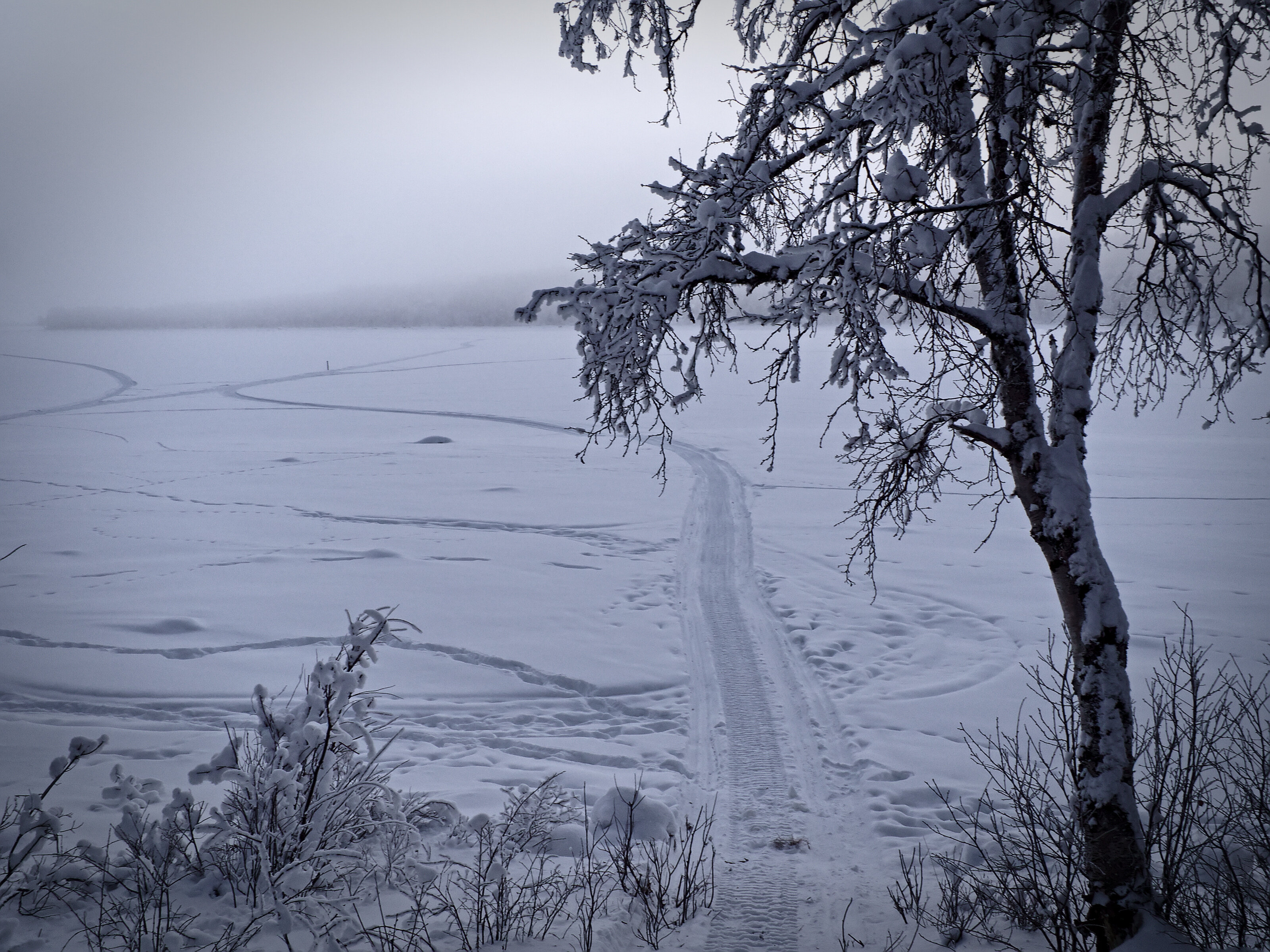 Morning Fog over the Lake
