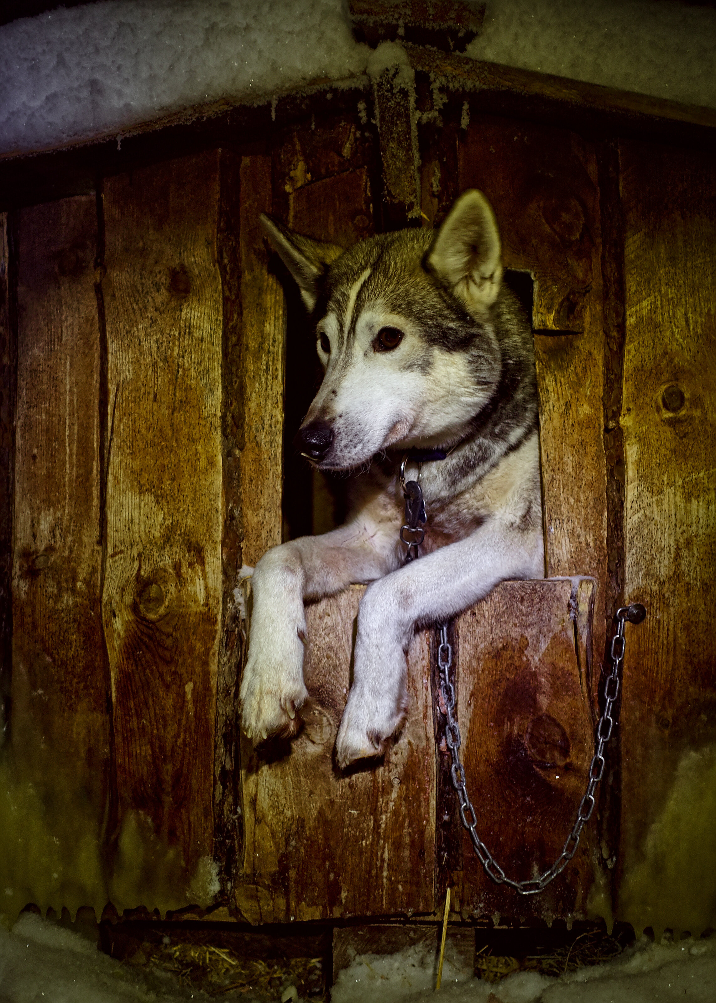 Hangin' out After the Tour