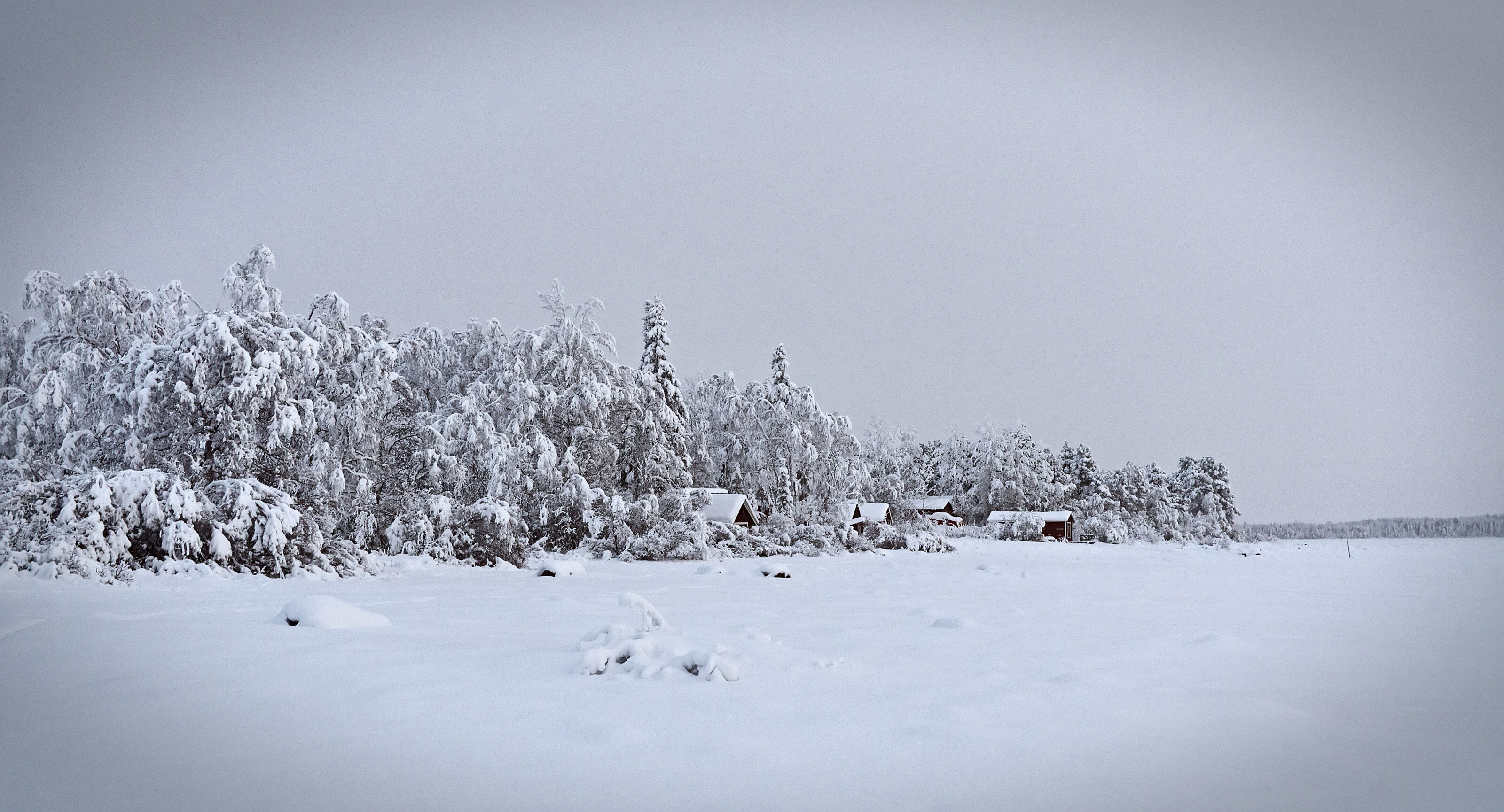 Frozen Banks of the Torne River